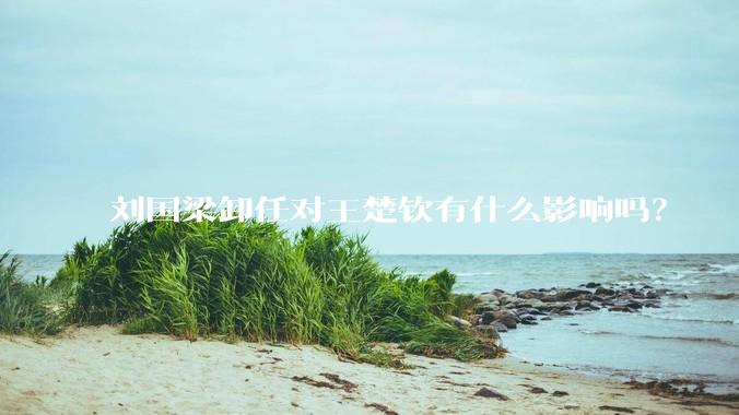 刘国梁卸任对王楚钦有什么影响吗？