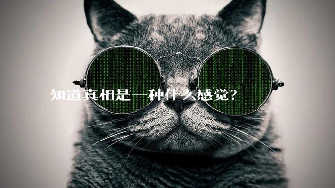 知道真相是一种什么感觉？