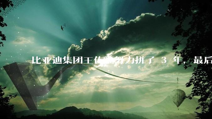 比亚迪集团王传福努力拼了 3 年，最后反而跌了近32亿，其原因是什么？